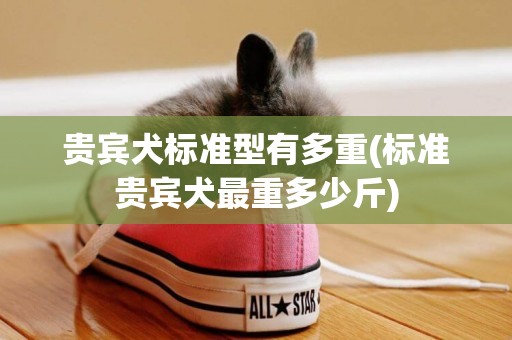 貴賓犬標準型有多重(標準貴賓犬最重多少斤)