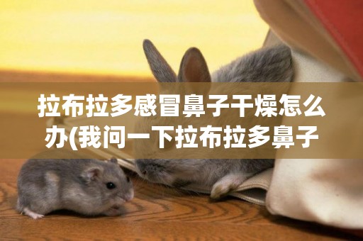 拉布拉多感冒鼻子干燥怎么辦(我問一下拉布拉多鼻子干怎么辦)