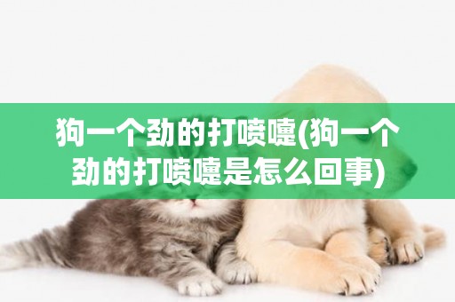 狗一個勁的打噴嚏(狗一個勁的打噴嚏是怎么回事)