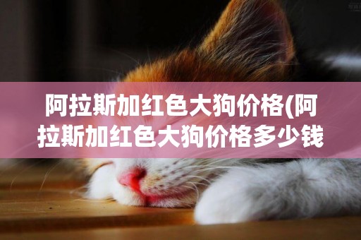 阿拉斯加紅色大狗價格(阿拉斯加紅色大狗價格多少錢)