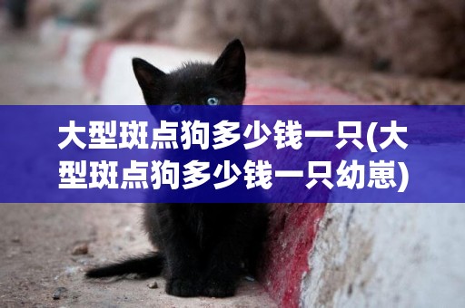 大型斑點狗多少錢一只(大型斑點狗多少錢一只幼崽)
