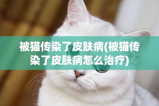 被貓傳染了皮膚病(被貓傳染了皮膚病怎么治療)