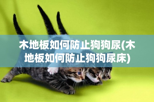 木地板如何防止狗狗尿(木地板如何防止狗狗尿床)