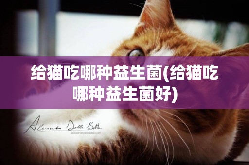 給貓吃哪種益生菌(給貓吃哪種益生菌好)
