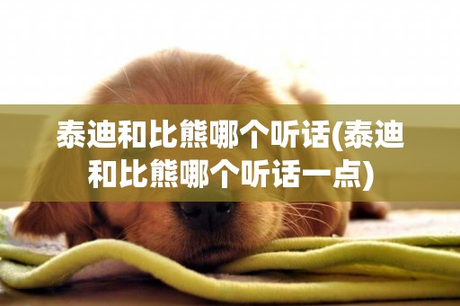 泰迪和比熊哪個聽話(泰迪和比熊哪個聽話一點)