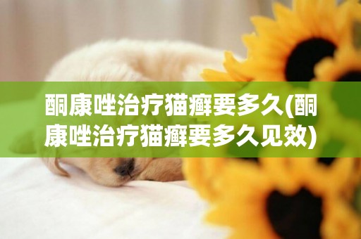 酮康唑治療貓癬要多久(酮康唑治療貓癬要多久見效)