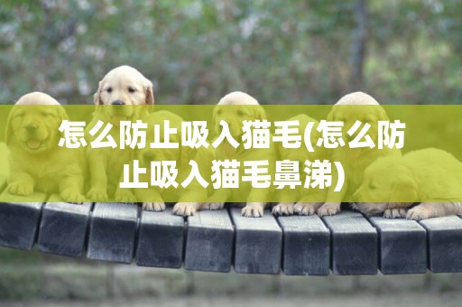 怎么防止吸入貓毛(怎么防止吸入貓毛鼻涕)