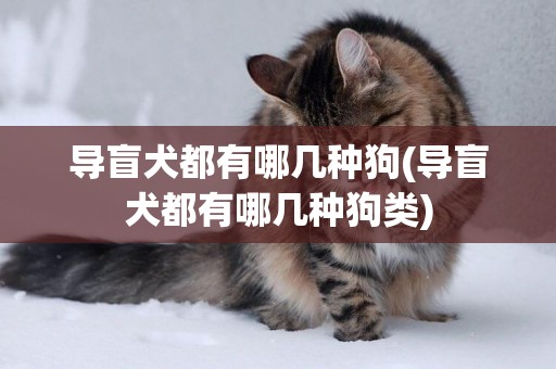 導盲犬都有哪幾種狗(導盲犬都有哪幾種狗類)