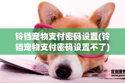 鈴鐺寵物支付密碼設置(鈴鐺寵物支付密碼設置不了)