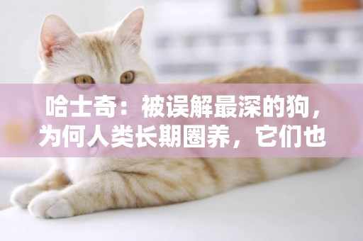 哈士奇：被誤解最深的狗，為何人類長期圈養，它們也永不為奴？ 