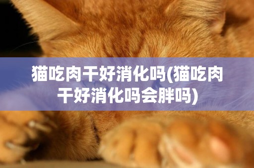 貓吃肉干好消化嗎(貓吃肉干好消化嗎會胖嗎)