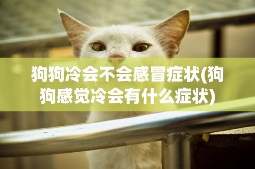 狗狗冷會不會感冒癥狀(狗狗感覺冷會有什么癥狀)