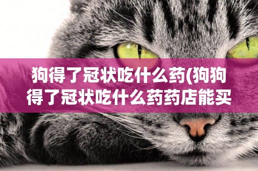狗得了冠狀吃什么藥(狗狗得了冠狀吃什么藥藥店能買到的)