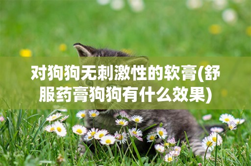 對狗狗無刺激性的軟膏(舒服藥膏狗狗有什么效果)