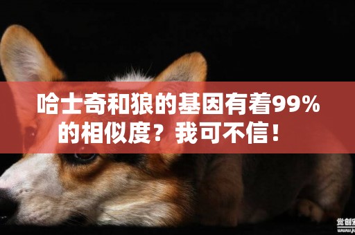 哈士奇和狼的基因有著99%的相似度？我可不信！ 