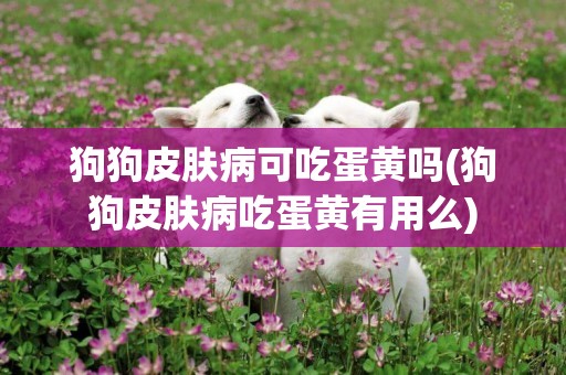 狗狗皮膚病可吃蛋黃嗎(狗狗皮膚病吃蛋黃有用么)