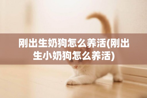 剛出生奶狗怎么養活(剛出生小奶狗怎么養活)