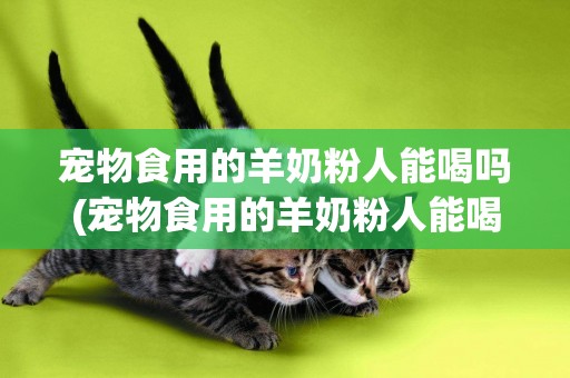 寵物食用的羊奶粉人能喝嗎(寵物食用的羊奶粉人能喝嗎孕婦)