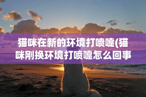 貓咪在新的環境打噴嚏(貓咪剛換環境打噴嚏怎么回事?)