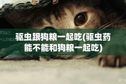 驅蟲跟狗糧一起吃(驅蟲藥能不能和狗糧一起吃)