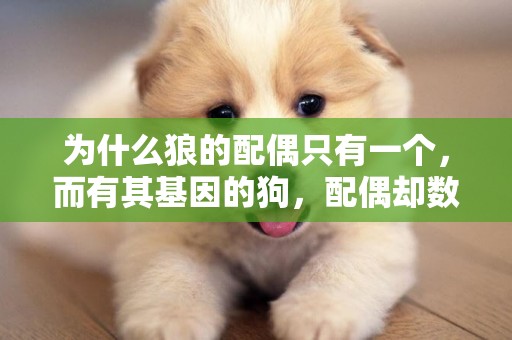 為什么狼的配偶只有一個，而有其基因的狗，配偶卻數不清？ 