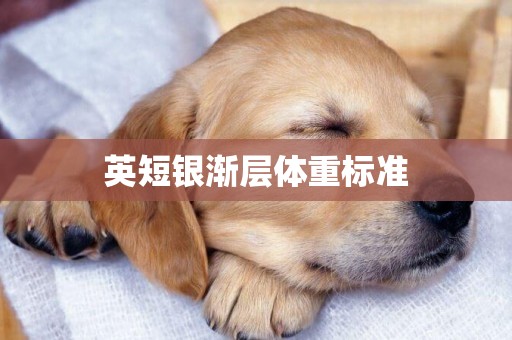 英短銀漸層體重標準