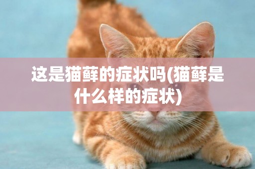 這是貓蘚的癥狀嗎(貓蘚是什么樣的癥狀)