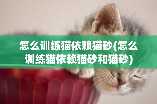 怎么訓練貓依賴貓砂(怎么訓練貓依賴貓砂和貓砂)