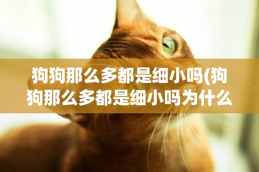 狗狗那么多都是細小嗎(狗狗那么多都是細小嗎為什么)