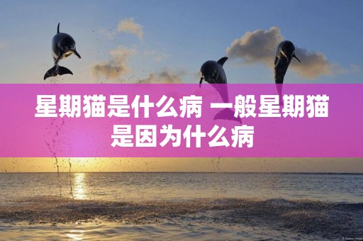 星期貓是什么病 一般星期貓是因為什么病