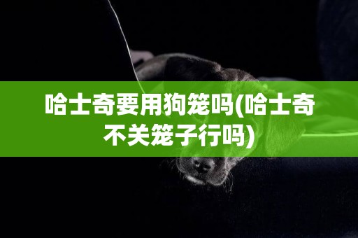 哈士奇要用狗籠嗎(哈士奇不關籠子行嗎)
