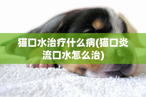 貓口水治療什么病(貓口炎流口水怎么治)