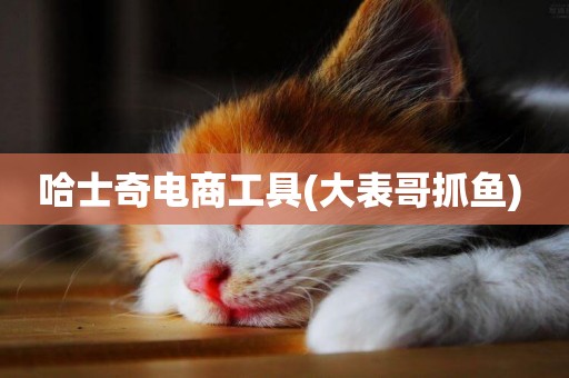 哈士奇電商工具(大表哥抓魚) 