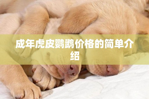 成年虎皮鸚鵡價格的簡單介紹