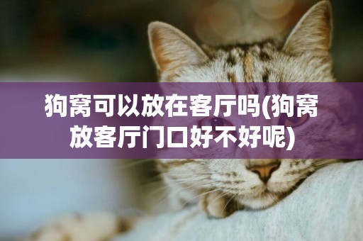 狗窩可以放在客廳嗎(狗窩放客廳門口好不好呢)