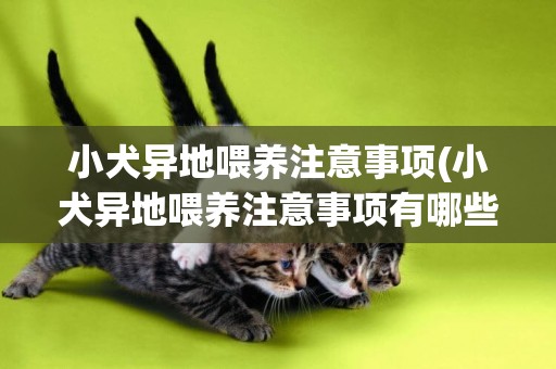 小犬異地喂養注意事項(小犬異地喂養注意事項有哪些)