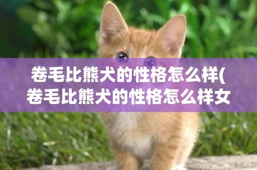 卷毛比熊犬的性格怎么樣(卷毛比熊犬的性格怎么樣女)