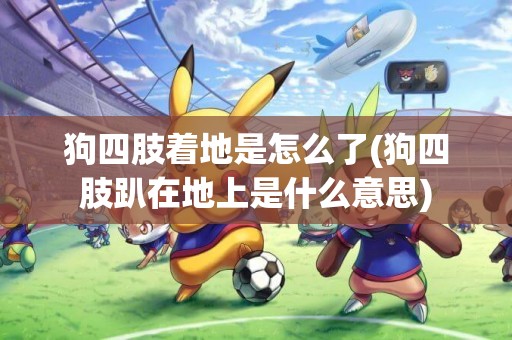 狗四肢著地是怎么了(狗四肢趴在地上是什么意思)