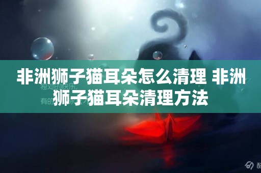 非洲獅子貓耳朵怎么清理 非洲獅子貓耳朵清理方法