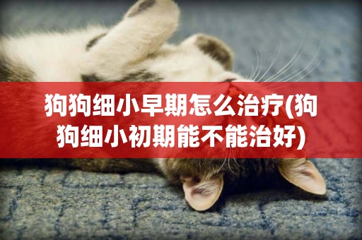 狗狗細小早期怎么治療(狗狗細小初期能不能治好)
