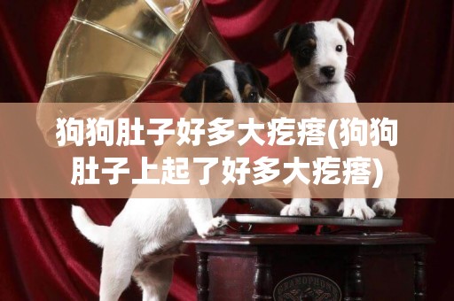 狗狗肚子好多大疙瘩(狗狗肚子上起了好多大疙瘩)