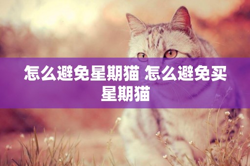 怎么避免星期貓 怎么避免買星期貓