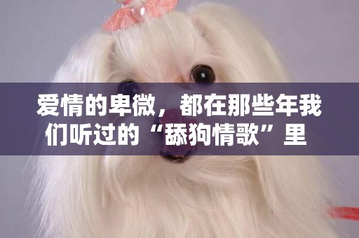 愛情的卑微，都在那些年我們聽過的“舔狗情歌”里 