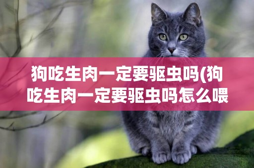 狗吃生肉一定要驅蟲嗎(狗吃生肉一定要驅蟲嗎怎么喂)