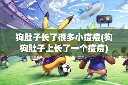 狗肚子長了很多小痘痘(狗狗肚子上長了一個痘痘)