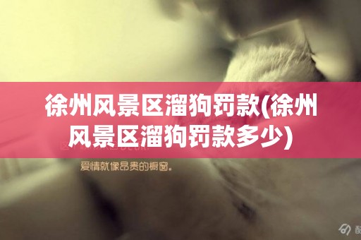 徐州風景區溜狗罰款(徐州風景區溜狗罰款多少)