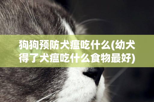 狗狗預防犬瘟吃什么(幼犬得了犬瘟吃什么食物最好)