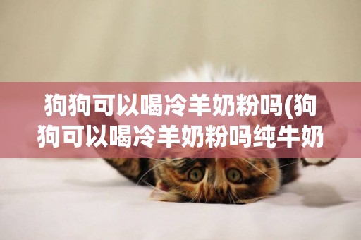 狗狗可以喝冷羊奶粉嗎(狗狗可以喝冷羊奶粉嗎純牛奶)