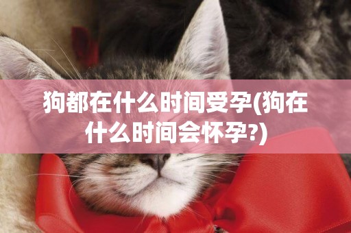狗都在什么時間受孕(狗在什么時間會懷孕?)