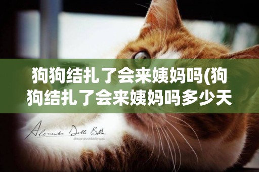 狗狗結扎了會來姨媽嗎(狗狗結扎了會來姨媽嗎多少天)